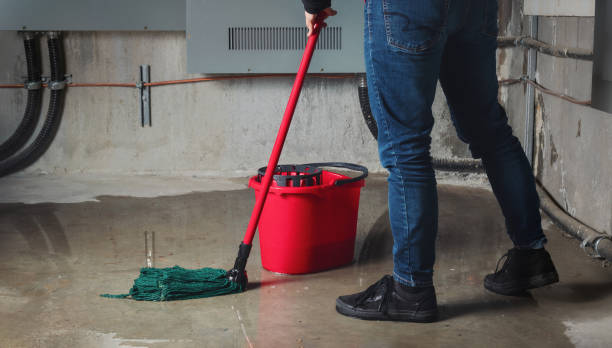 Best Flooded house restoration  in Pine Knot, KY