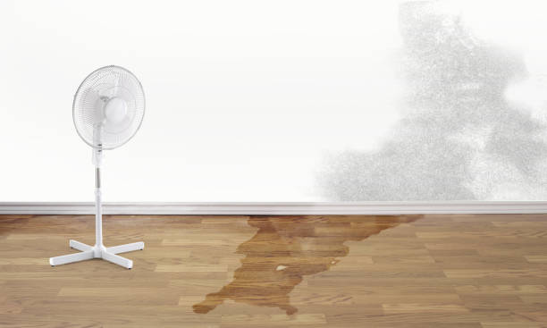 Best Water damage restoration near me  in Pine Knot, KY