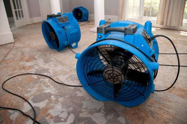 Best Sewage cleanup and water damage restoration  in Pine Knot, KY
