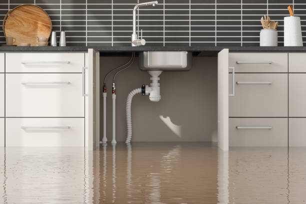 Best Residential water damage restoration  in Pine Knot, KY