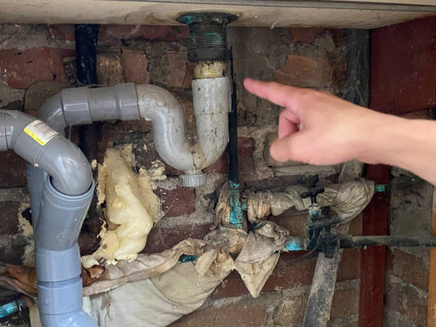 Best 24-hour water damage restoration  in Pine Knot, KY